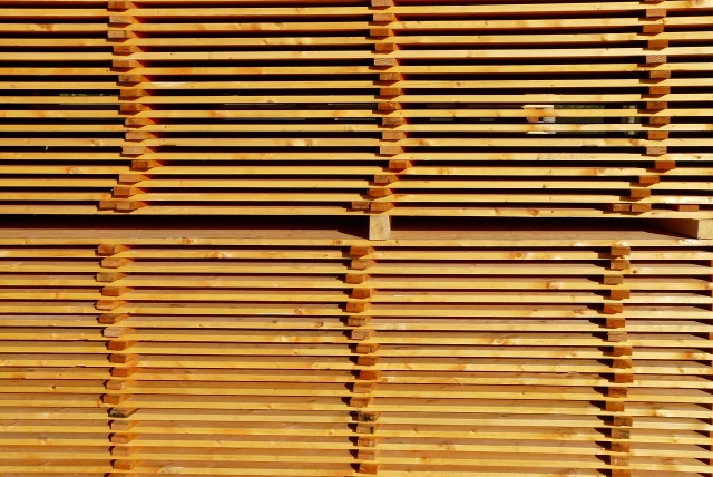 Holz